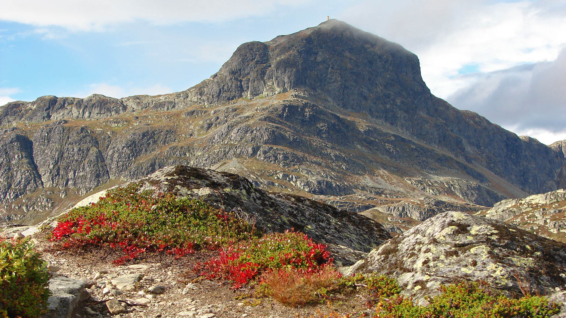Ein charakteristischer, hutförmiger Berg im Hintergrund und niedrige Felsen, die mit Flechten und roter Herbstvegetations bewachsen sind, im Vordergrund