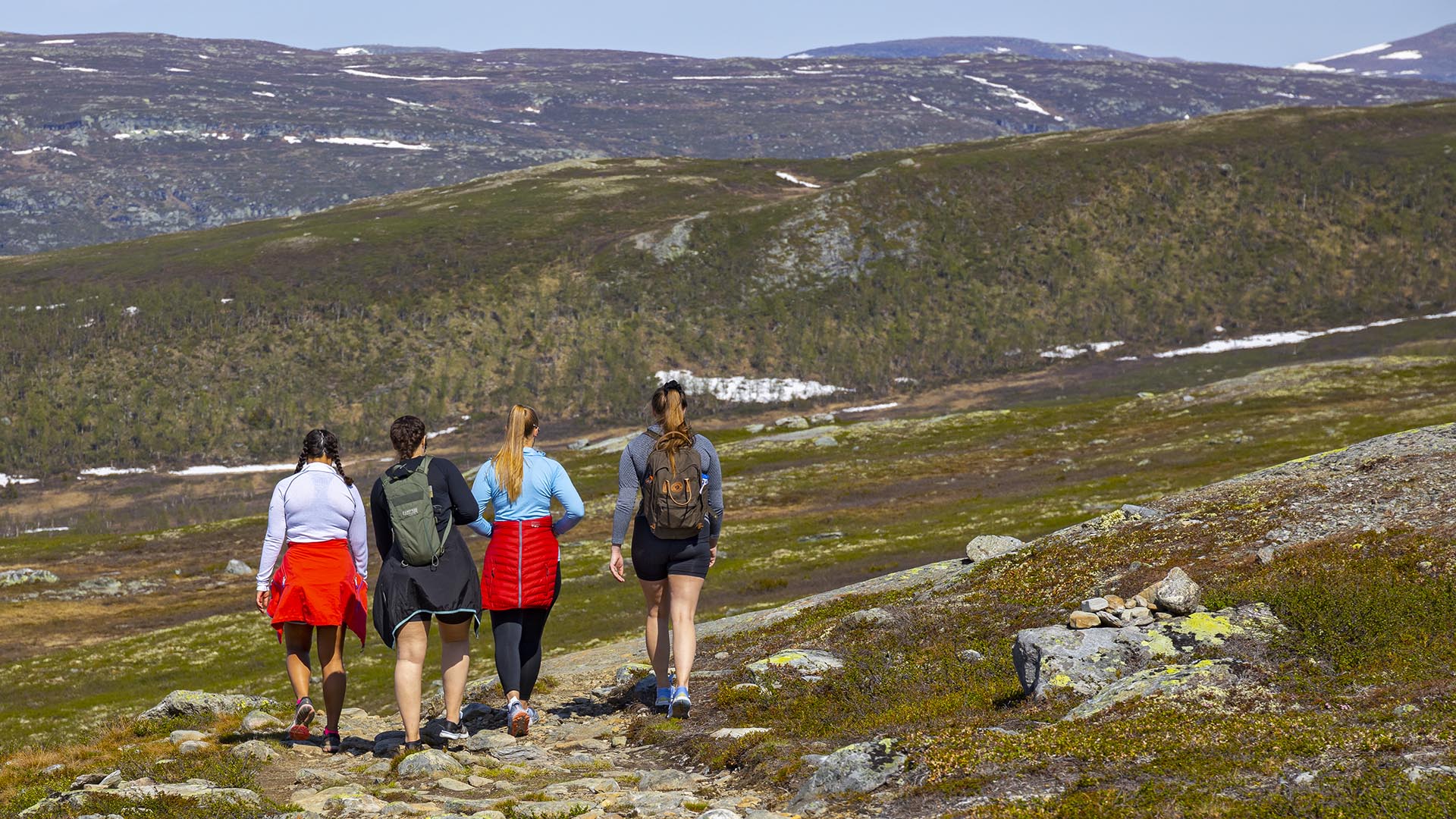 Vier junge Mädchen wandern auf einem Wanderweg in offenem Fjellgelände an einem warmen Sommertag.