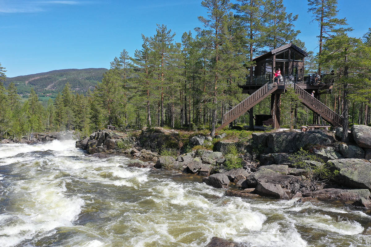 Tretopphyttene til Fosstopp ligger midt i skogen, rett ved den store elva Aurdøla.